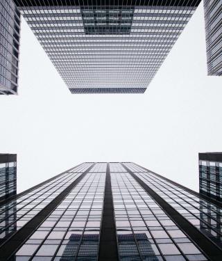Liderazgo en transformación: del jefe al líder con propósito