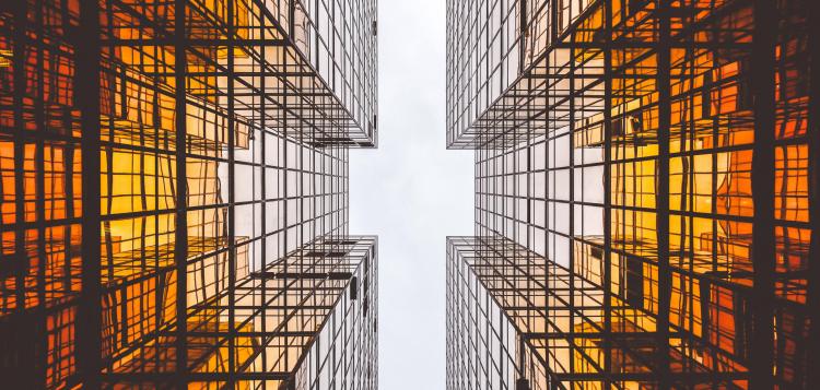 Agilidad y reinvención profesional: un viaje hacia la adaptación