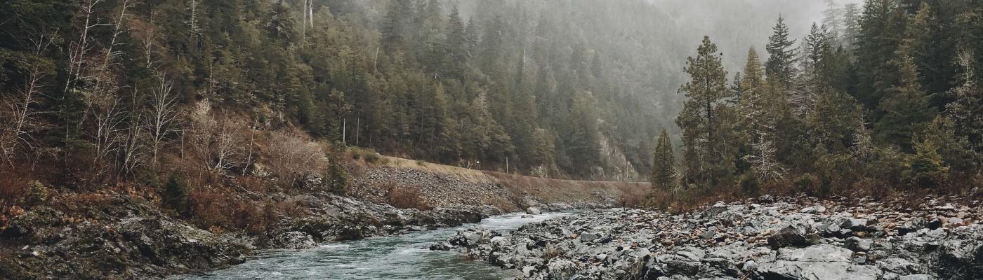 ¿Tiene sentido la sostenibilidad para la empresa? Lecciones del turismo sostenible